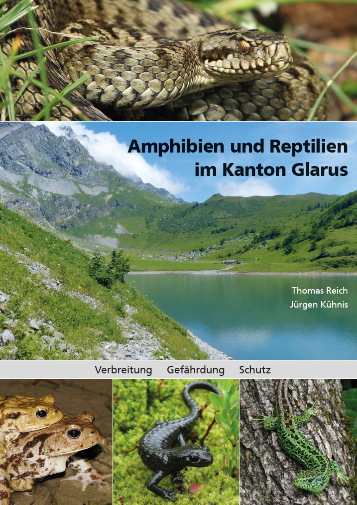 Amphibien und Reptilien im Kanton Glarus