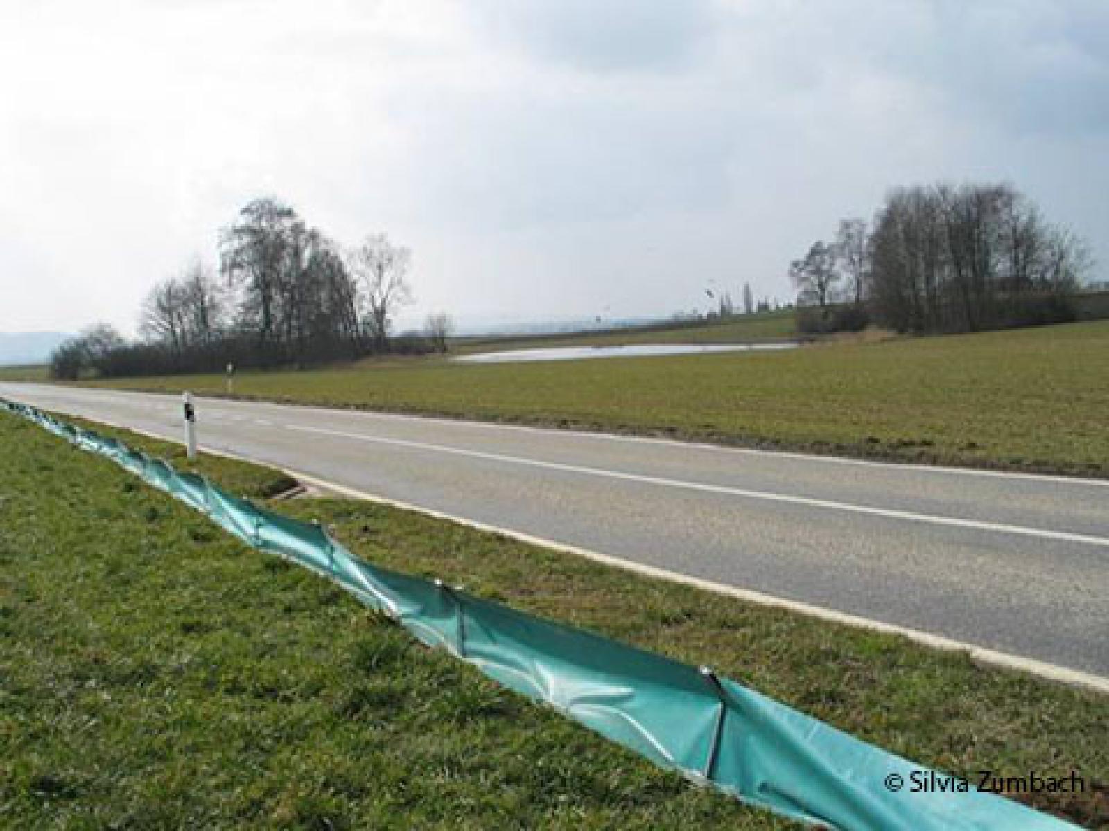 Barrière à batraciens le long d'une route