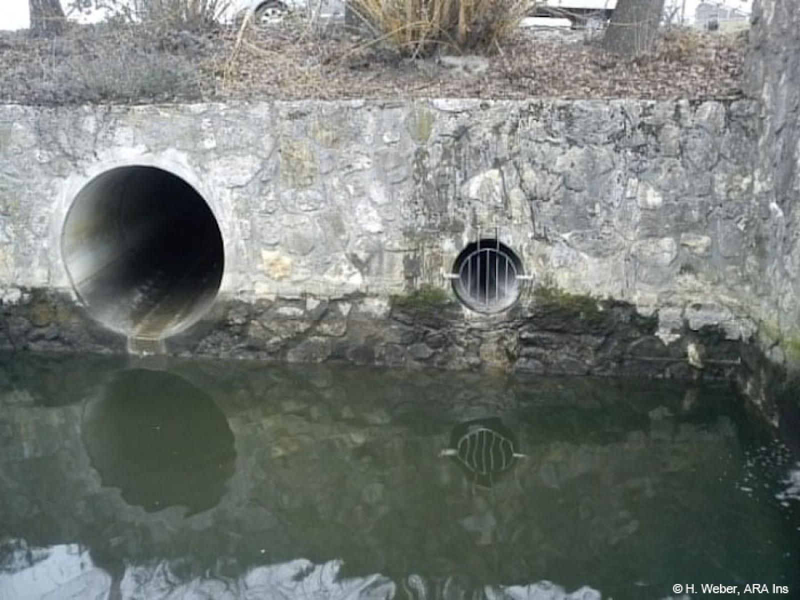 Grille installée au niveau du trop-plein de la sortie de la STEP (à droite). À gauche : Conduite d'eaux météoriques de la commune d'Ins. 