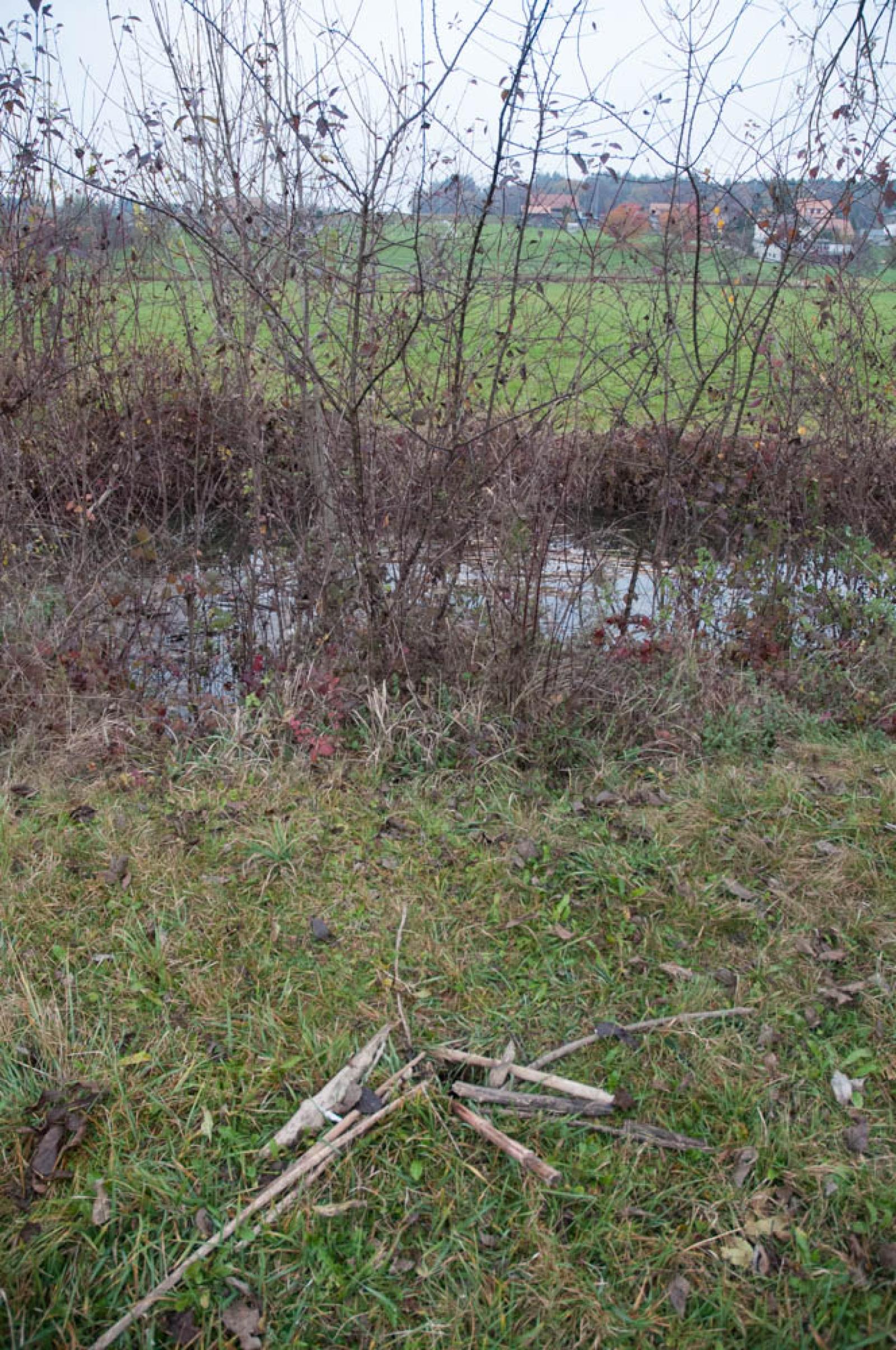 Trou d’aération «camouflé» avec des branchages. Ceux-ci ont été poussés depuis le terrier à travers le trou d’aération (© Christof Angst)