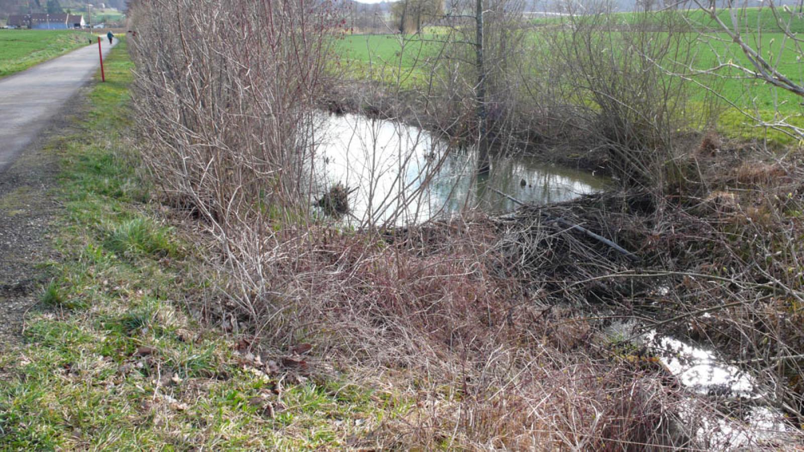 Barrage secondaire dans un canal de drainage