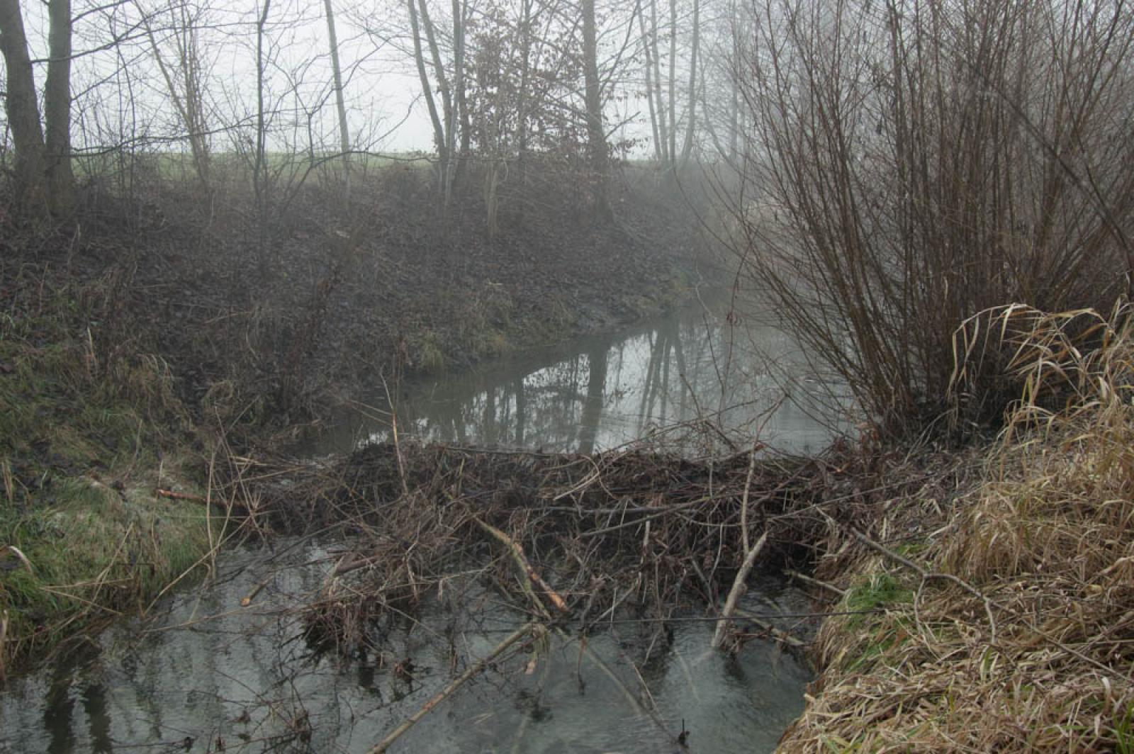 Barrage secondaire dans le territoire d’une famille situé dans le fossé de drainage d’une zone agricole