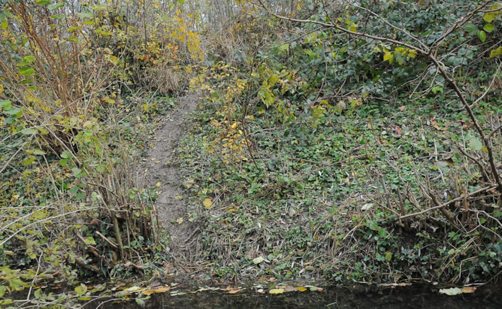 Ausstieg aus einem Teich (© Christof Angst)