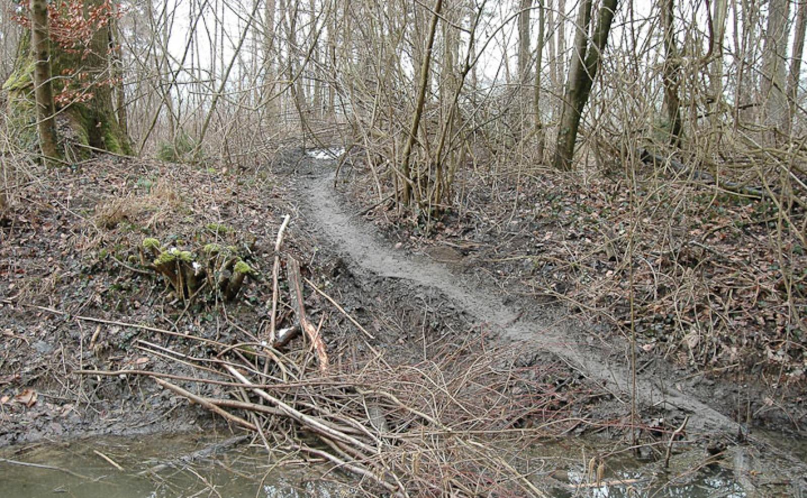 Sortie d’un canal d'évacuation des eaux vers un terrier-hutte (© Christof Angst)