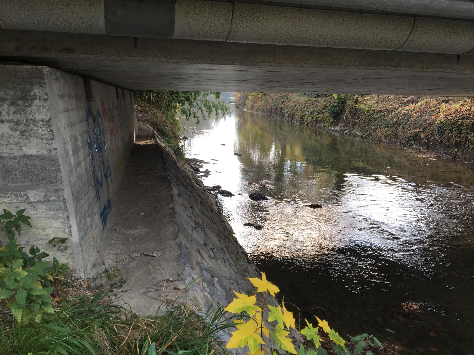 Pont avec un accotement unilatéral (© Christof Angst)