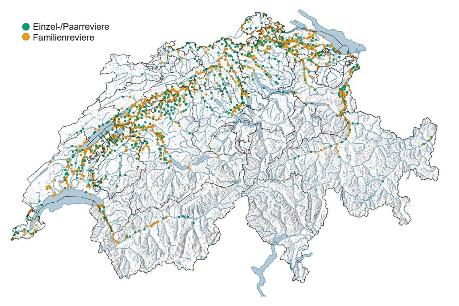 Verbreitung des Bibers in der Schweiz 2022 