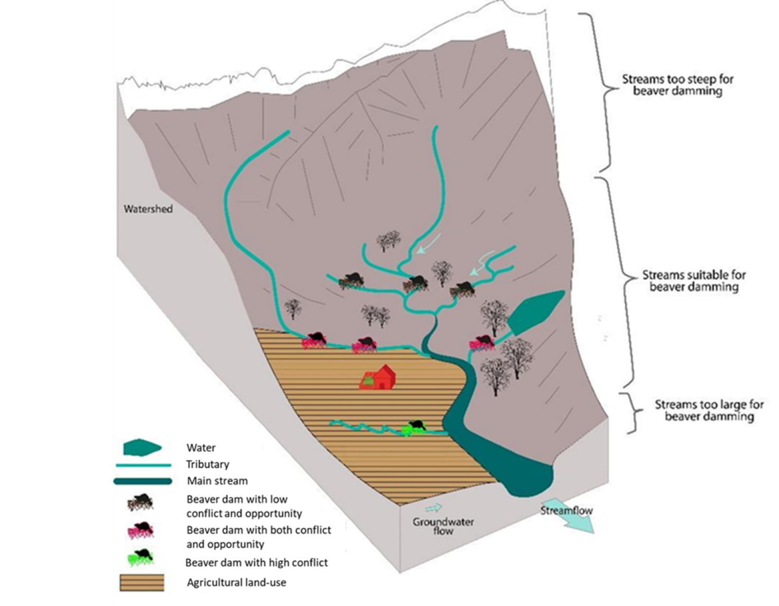 Graphique caractéristiques du terrain pour les barrages de castors