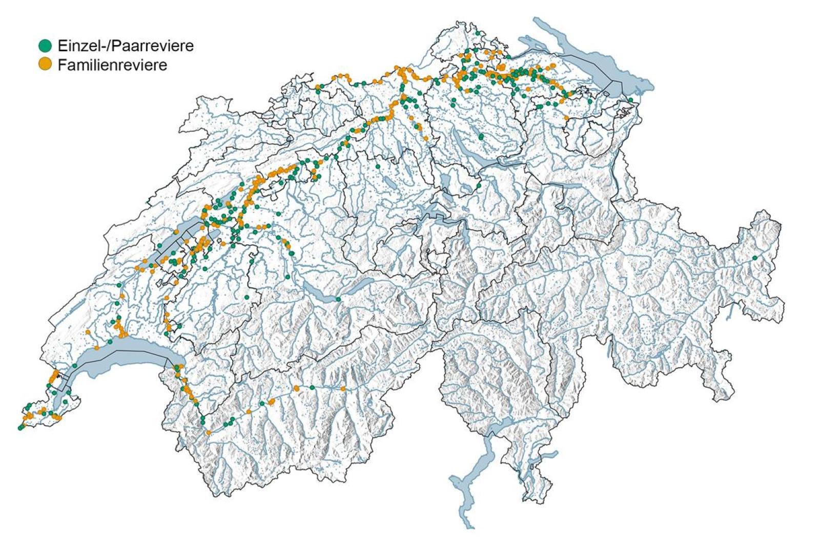 Verbreitung des Bibers in der Schweiz 2008