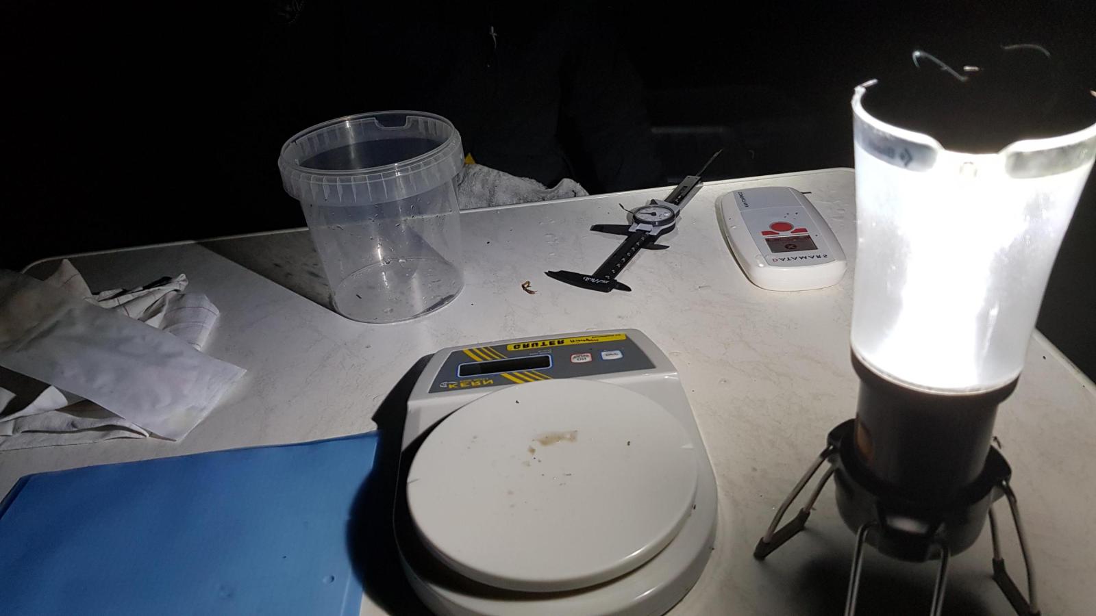 Lampe, Waage und Schublere