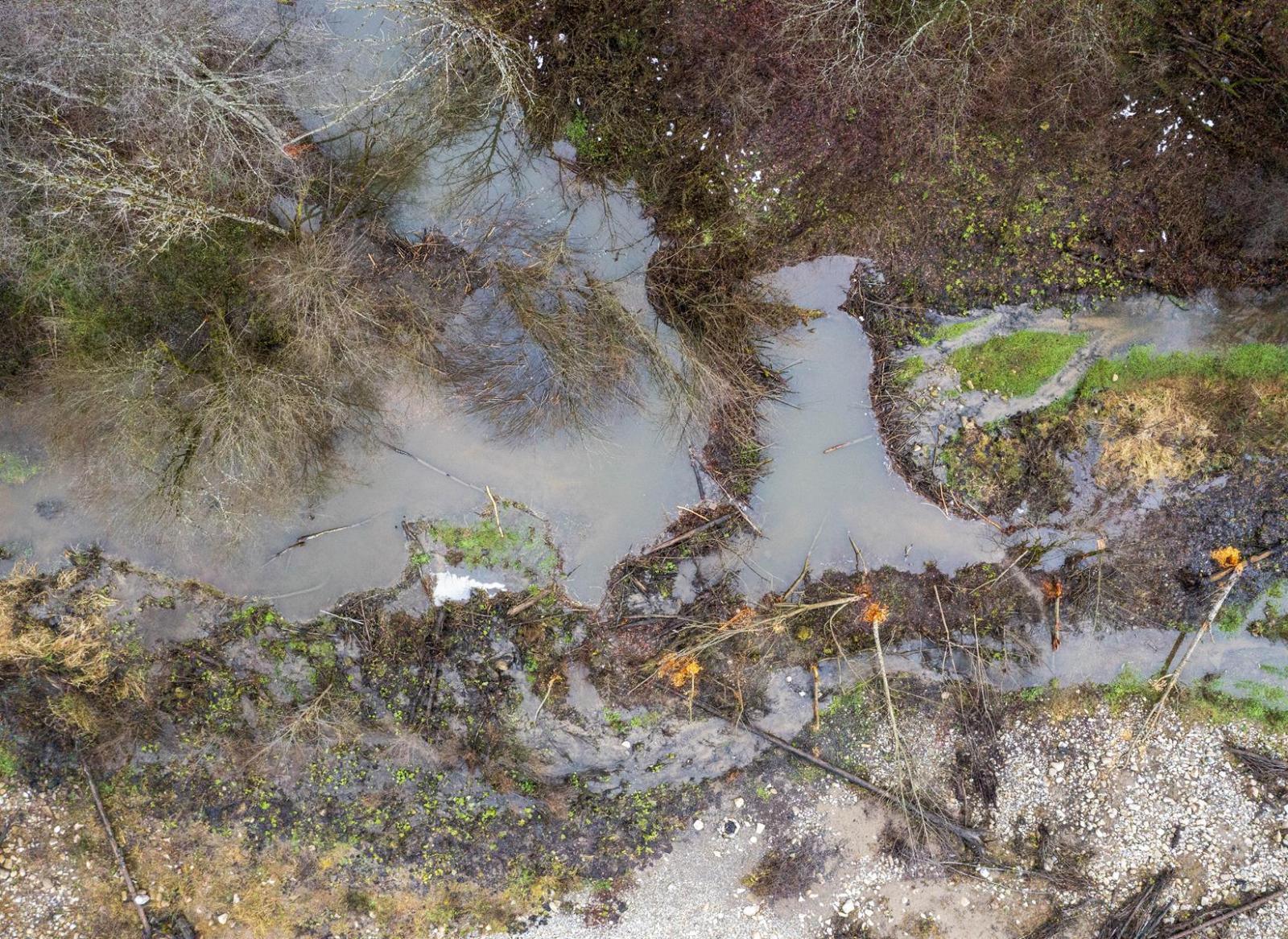 Image par drone d'un territoire de castors en forêt