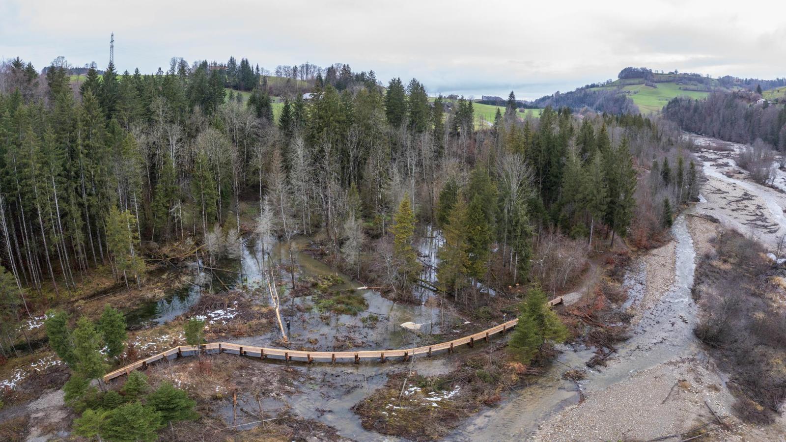 Image par drone d'un territoire de castors en forêt