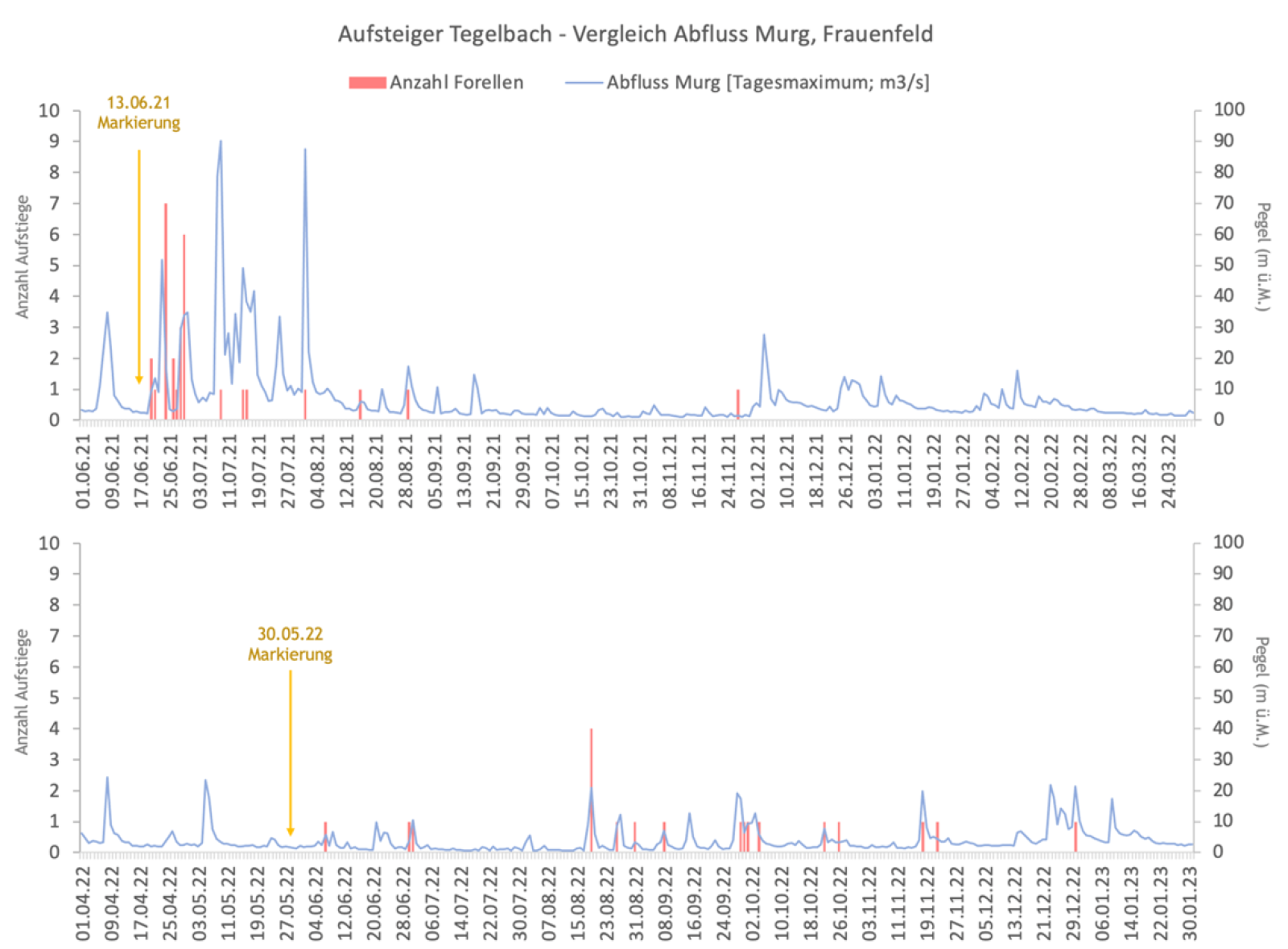 Grafik Zeitachse mit Fischaufsteigern und Hochwassern