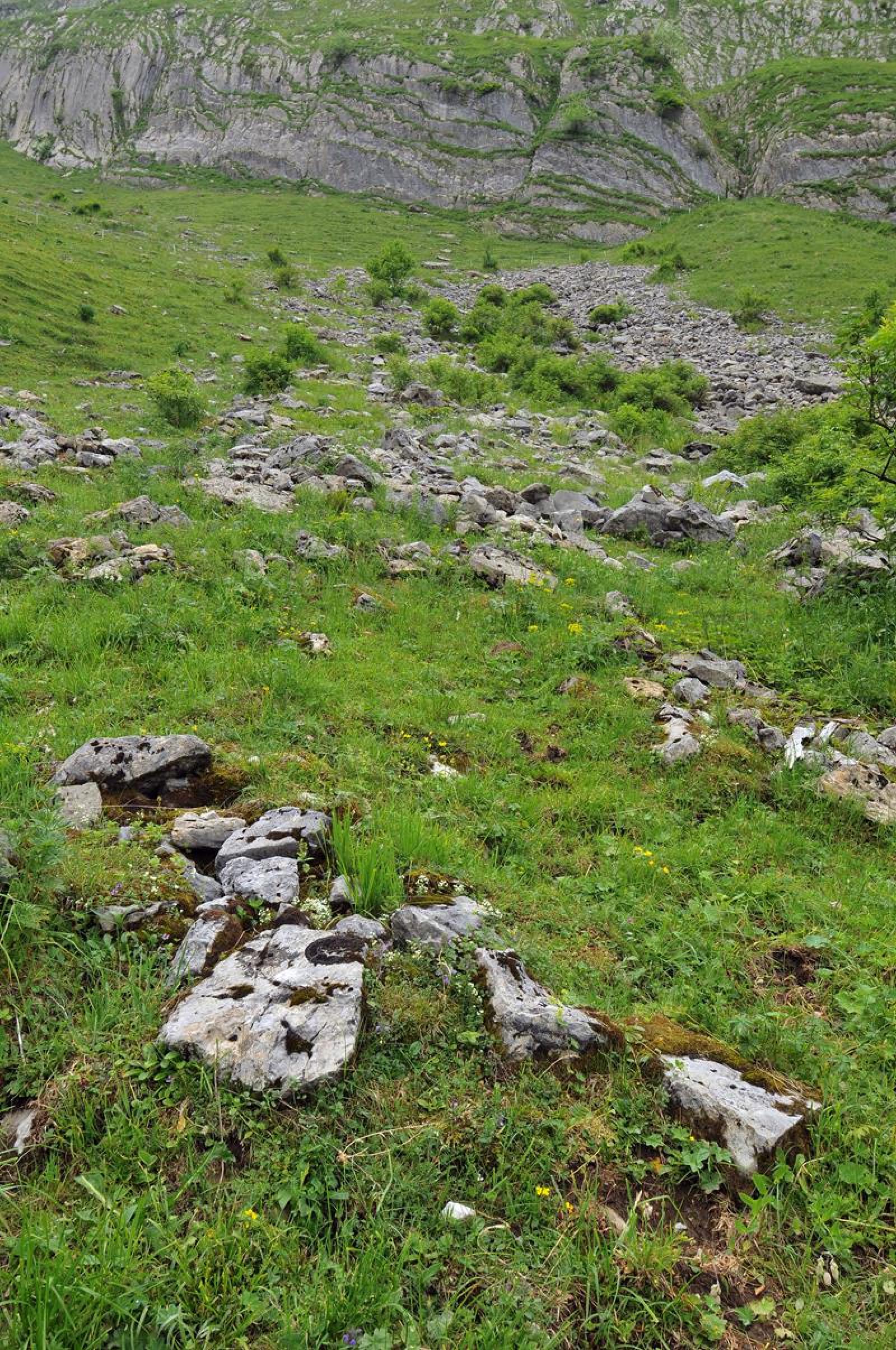 Alpweide mit Steinblöcken