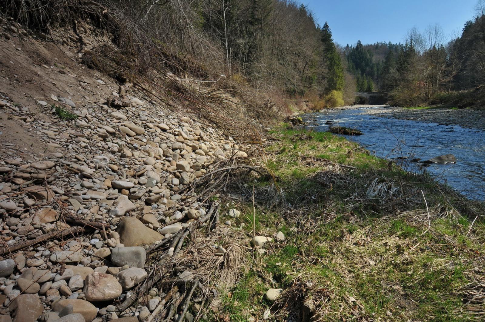 Sponda del fiume con argine sassoso