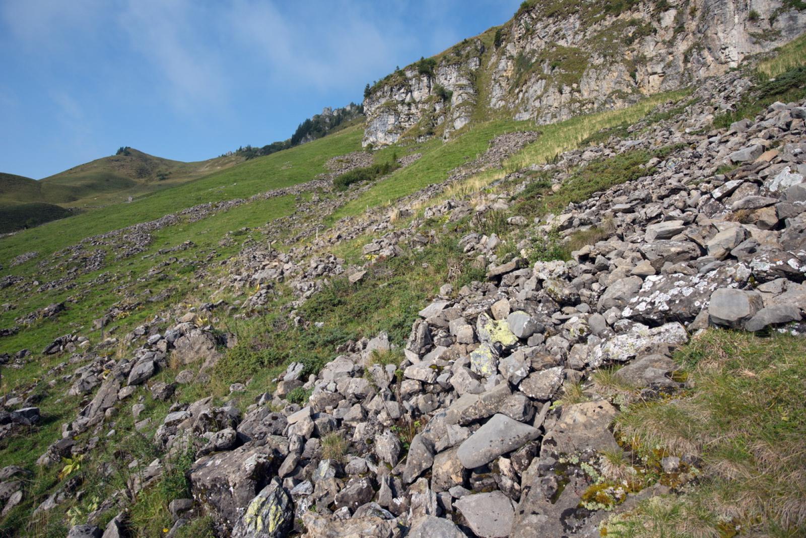 Il ghiaione nelle Alpi