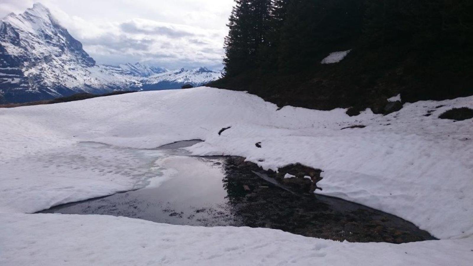 Gewässer mit Schnee an Ufern