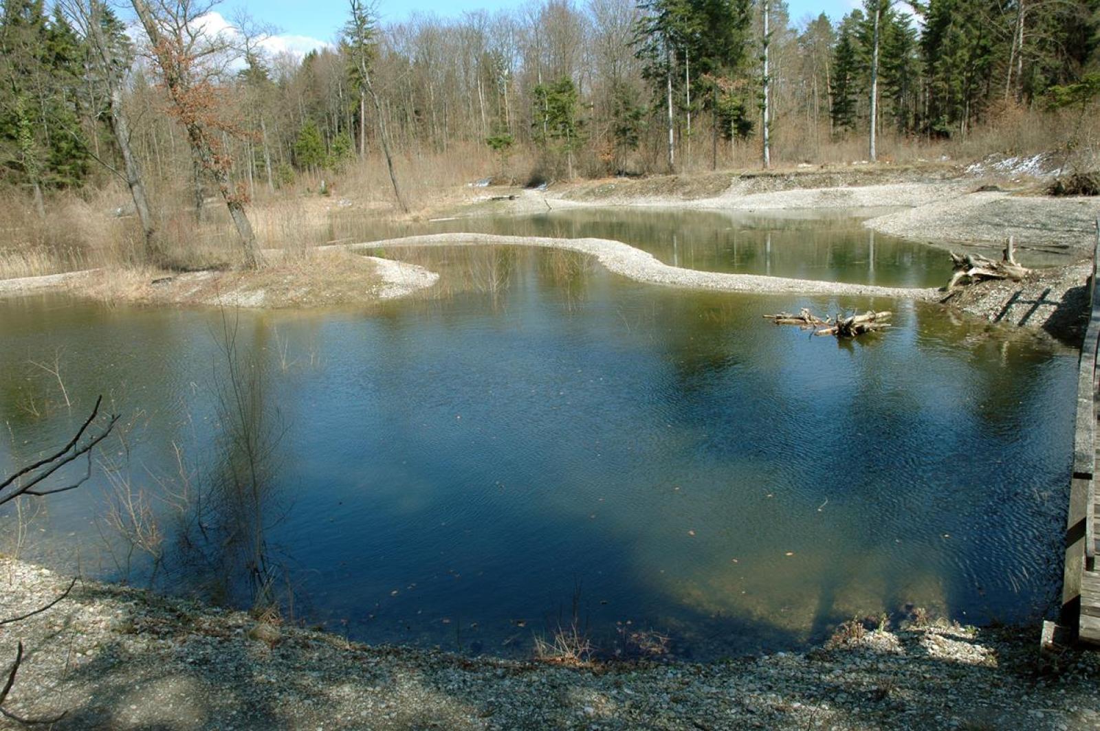 Grand étang à l'eau bleue
