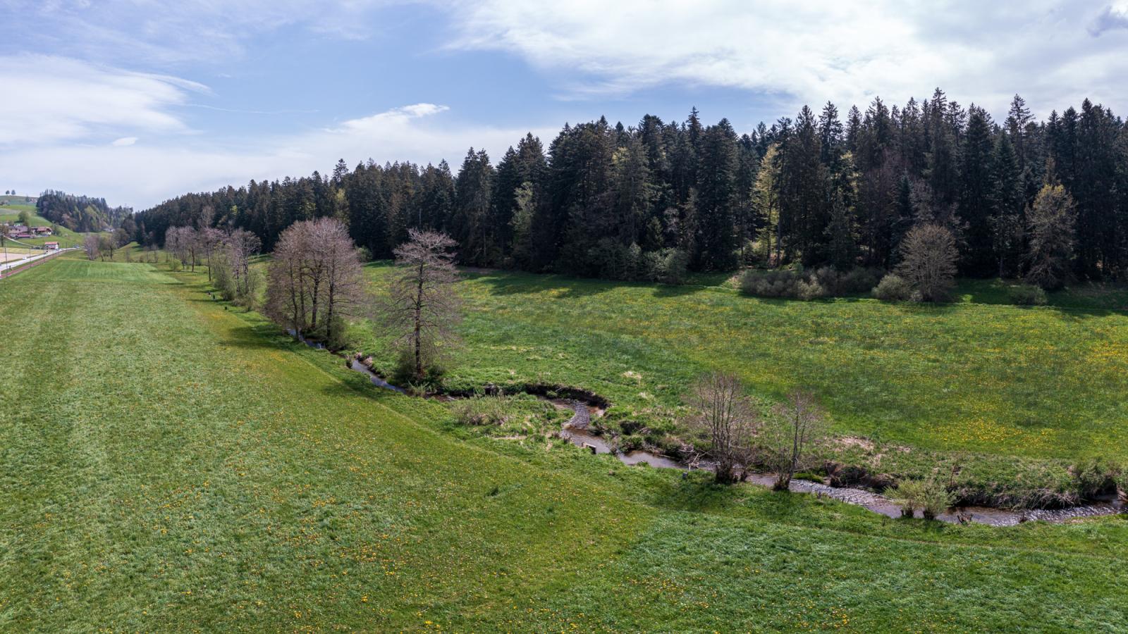 Territoire de castors au Rotbach BE  (© Christof Angst)