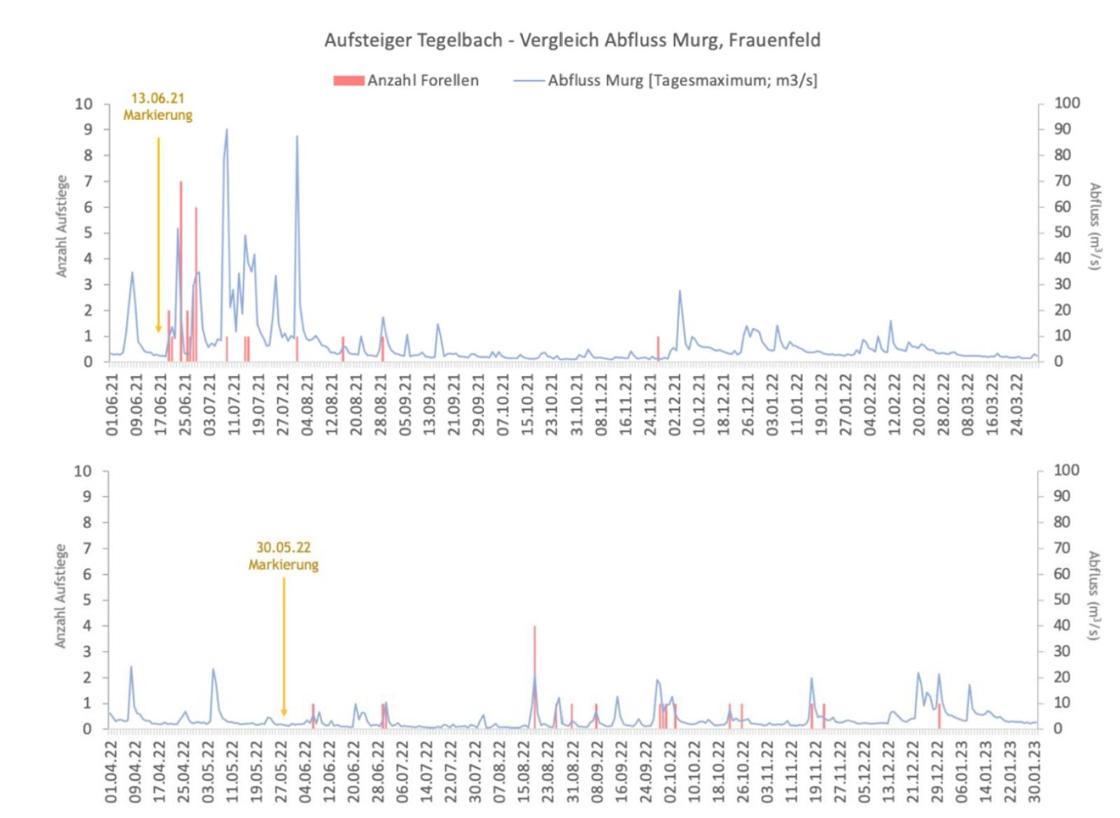 Grafik Zeitachse mit Fischaufsteigern und Hochwassern (Kreienbühl et al., 2024)