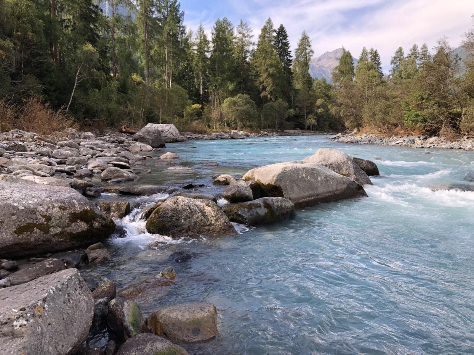 Cours d'eau