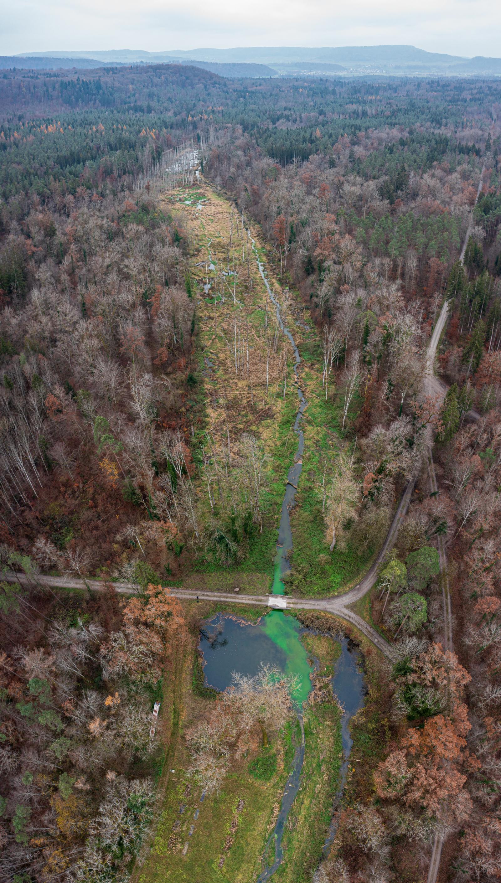 Travail de terrain dans le cadre du projet sur le cycle du carbone (© Christof Angst)