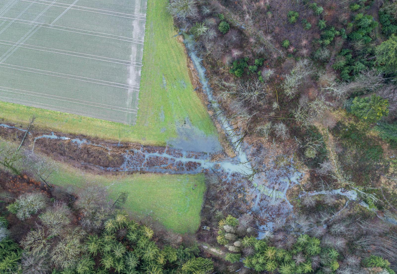Territoire de castors à Hersiwil SO (© Christof Angst)