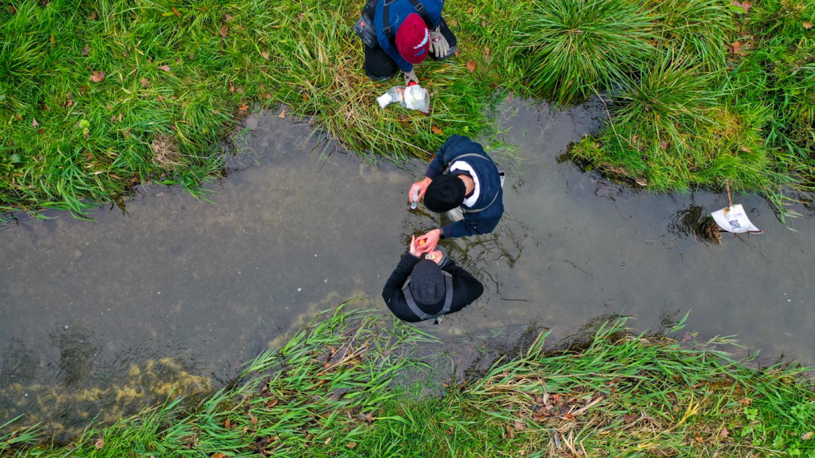 Travail de terrain dans le cadre du projet sur le cycle du carbone (© Christof Angst)