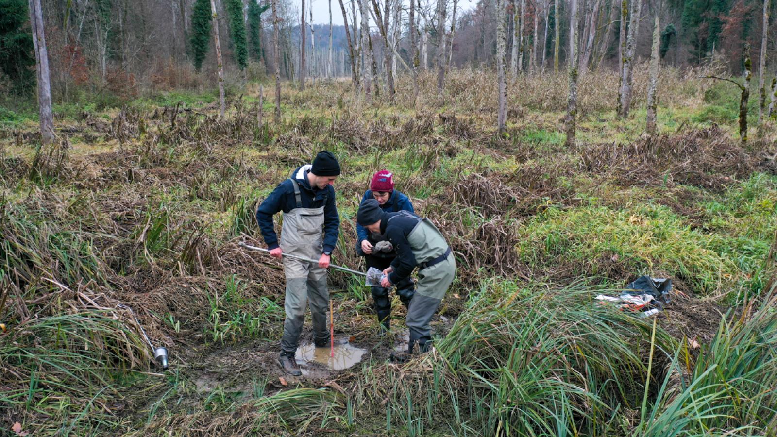 Travail de terrain dans le cadre du projet sur le cycle du carbone (© Christof Angst)