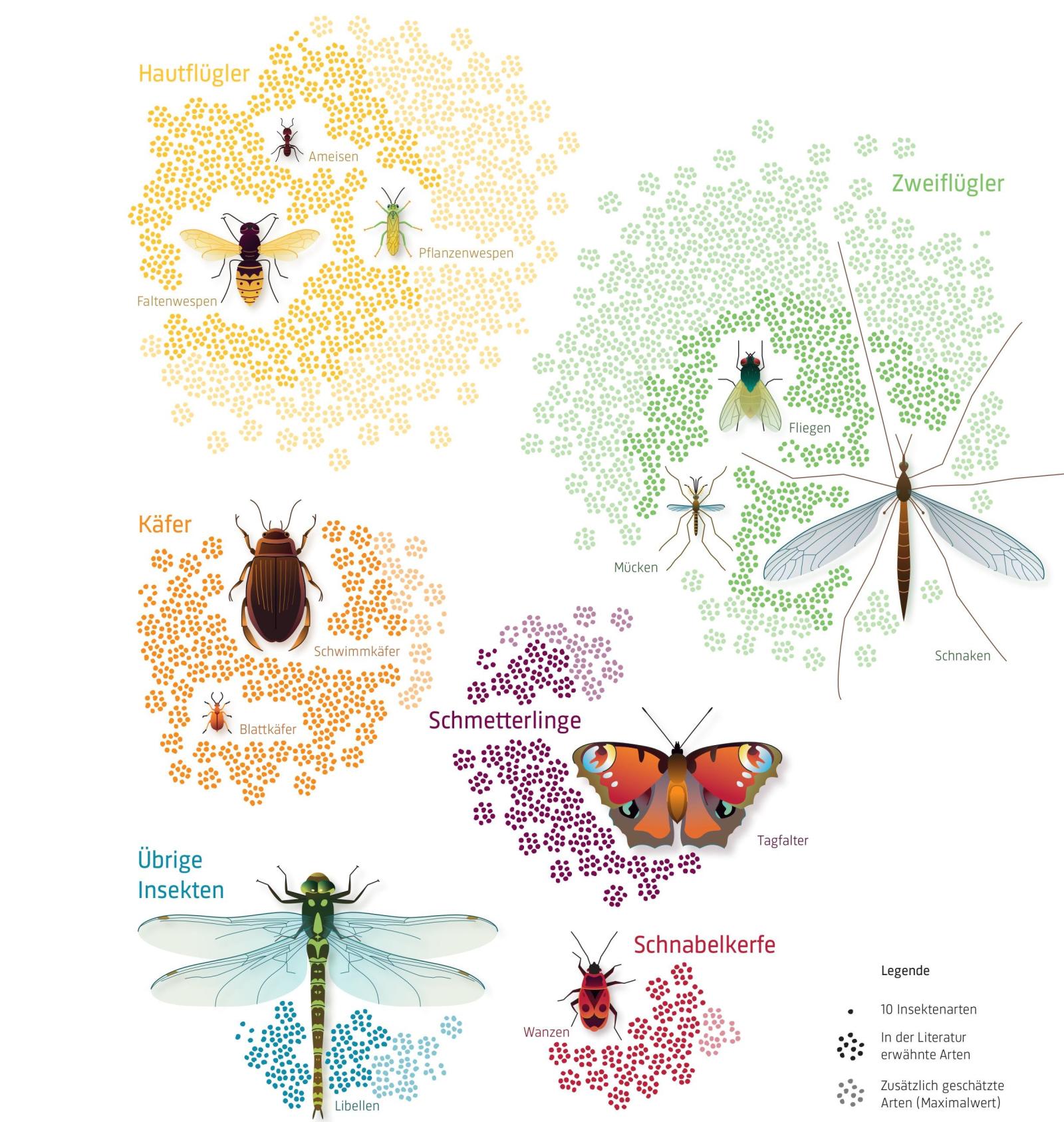 Grafik mit Anzahl Arten pro Insektengruppe (Swiss Academies Reports, 2021)