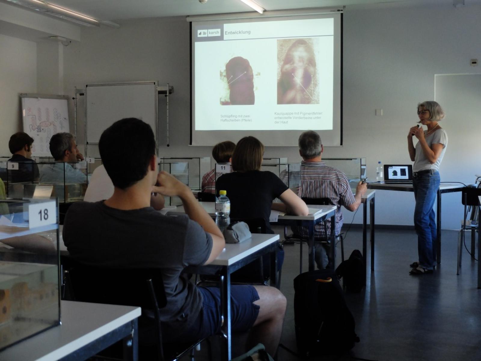 Larvenkurs karch 2016 - Theorie