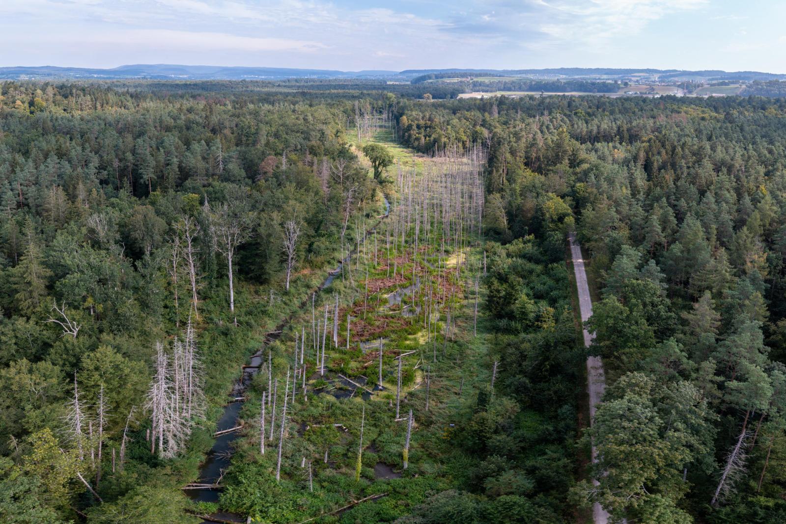 Territoire de castors à Marthalen ZH (© Christof Angst)