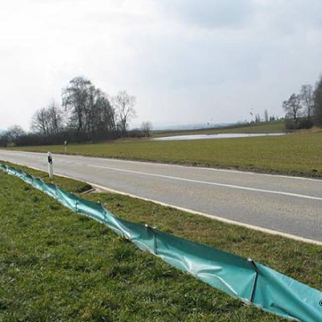 Barrière à batraciens le long d'une route