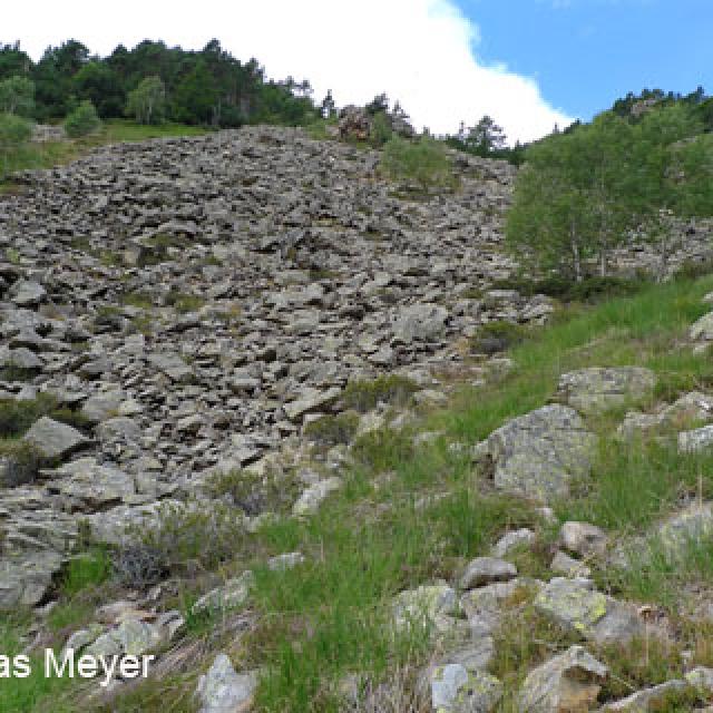 Habitat : éboulis