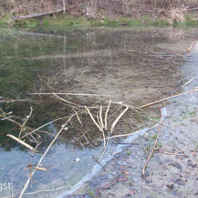 Réfectoire sur une plage de sable peu profonde dans un bassin de retenue.