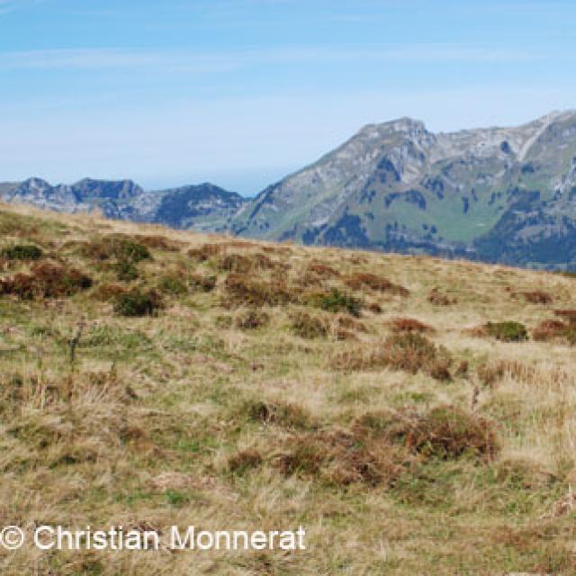 Landes en montagne