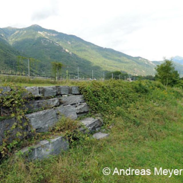 Habitat : ourlets herbeux