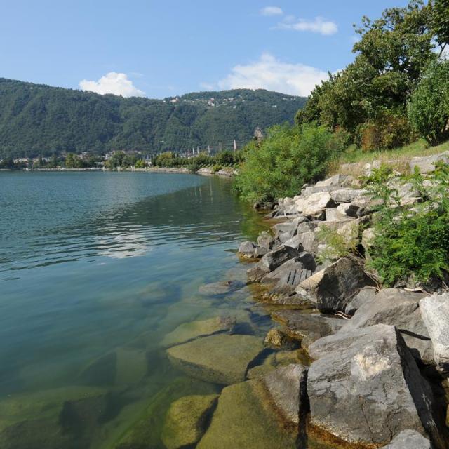 Lac avec rive escarpée