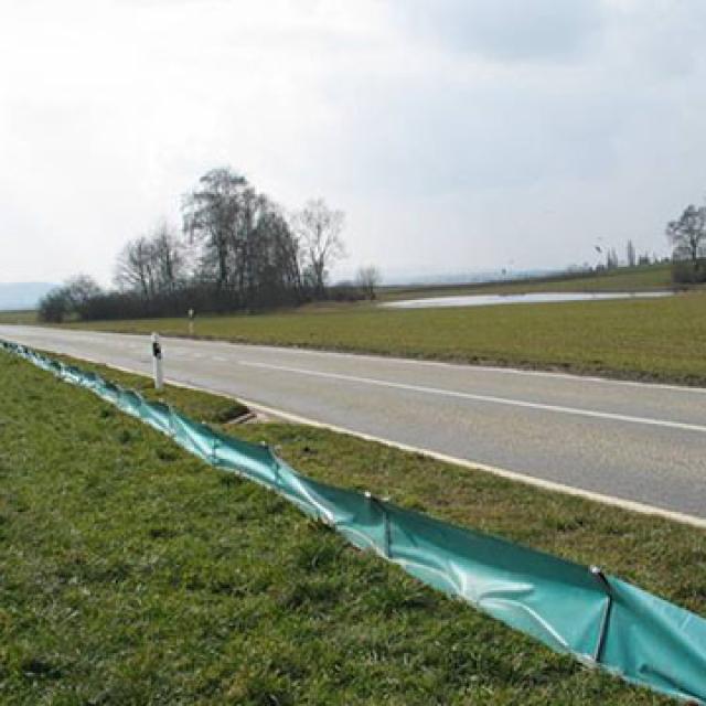 Amphibienzaun entlang einer Strasse