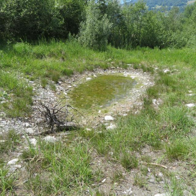 Zur Hälfte mit Wasser gefüllter Weiher