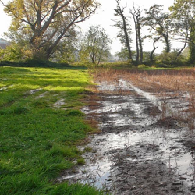 Parcelle inondée