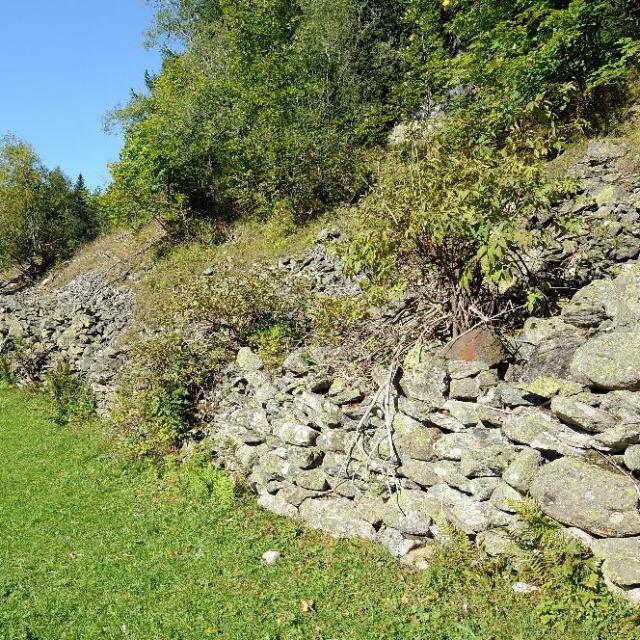 Muro di contenimento ai margini di un prato estensivo