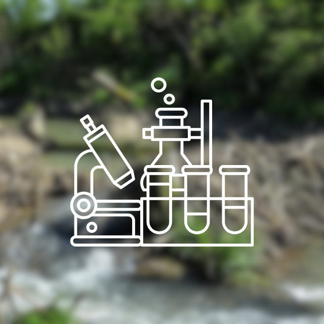 Vignette pour les projets de recherche