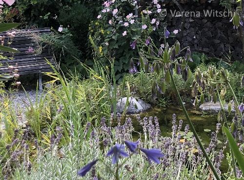 Schlange im Garten was tun? info fauna