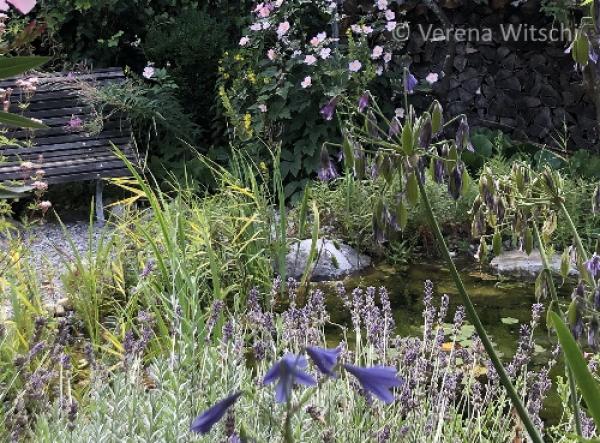 Gärten mit naturnahen Strukturen sind attraktiv für viele Tiere (© Verena Witschi) Naturnaher Garten mit Kleinstrukturen