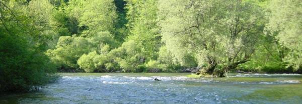 Cours d'eau en Suisse
