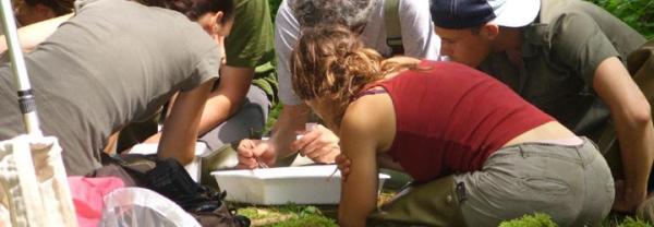 Formation sur le macrozoobenthos