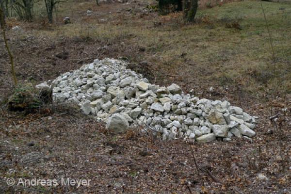 Steinwall als Lebensraum für Reptilien