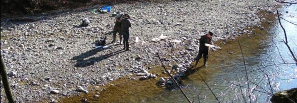 Formation pratique sur le macrozoobenthos