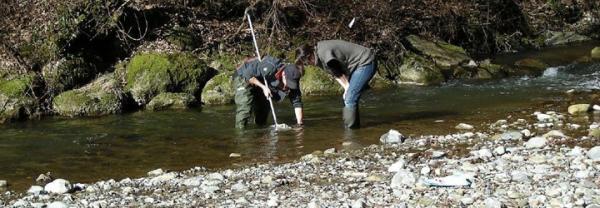 Monitoring de la Biodiversité (MDB)