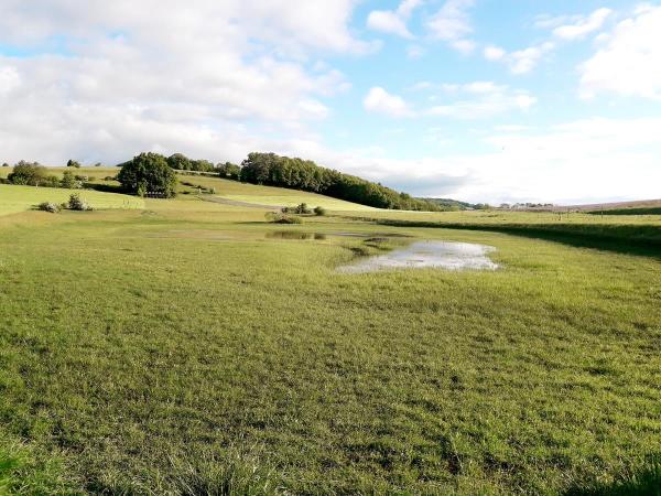 Un plan d'eau peu profond dans une prairie